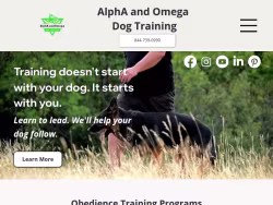 Alphaandomegadogtraining