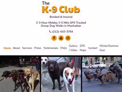 K-9clubnyc