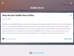 Saddle-horse-usa