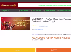 1stmerchantfunding