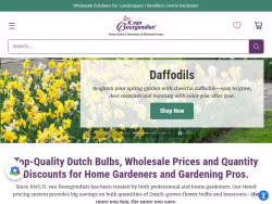 Dutchbulbs