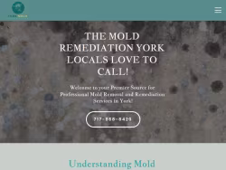 Moldremediationyork