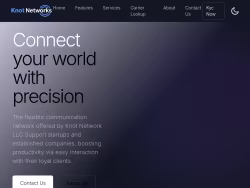 Knotnetworks