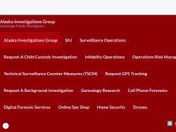 Akprivateinvestigator