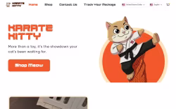 Karate Kitty