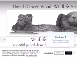 Wildlife-sketches