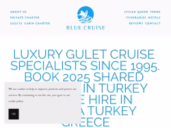 Bluecruise