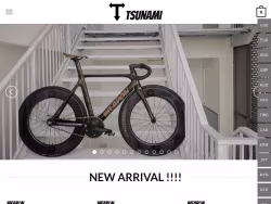 Tsunamibicycle