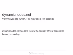 Dynamicnodes