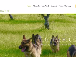 Tdynrescue
