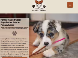 Schwartzcorgipaws