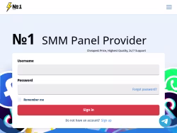 N1panel