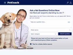 Petcoach