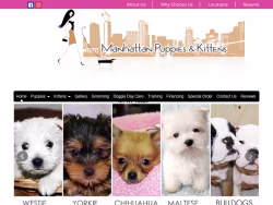 Manhattan-puppies