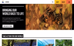 Wwf