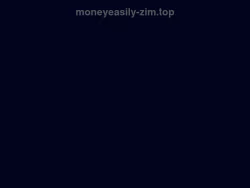 Moneyeasily-zim