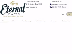Eternalpaws