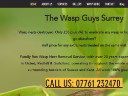 Waspnestsdestroyed