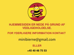 Minibierne