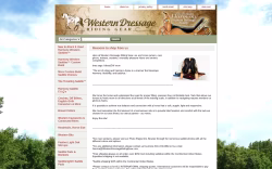 westerndressageridinggear.com