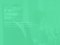 Drserbulentguzey