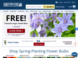 Michiganbulb