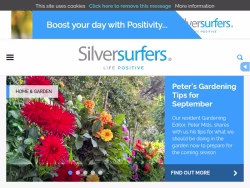 Silversurfers