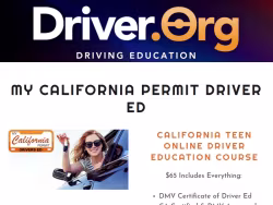 Driver