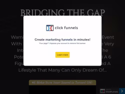 Bridgingthegap
