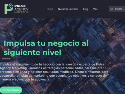 Pulseagencyusa
