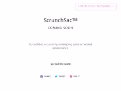 Scrunchsac