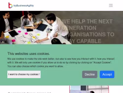 Trybusinessagility