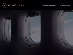 Business-skies