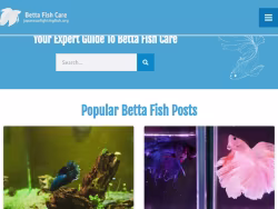 Japanesefightingfish