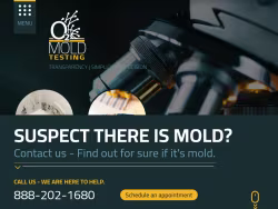 O2moldtesting