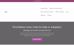 Charing Cross Cat Clinic