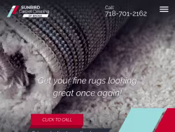 Bronxcarpetcleaning