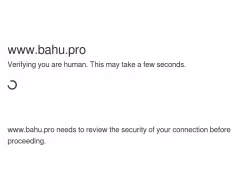Bahu