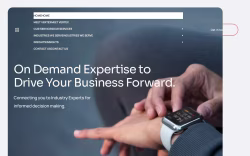 Vertex Expert Network
