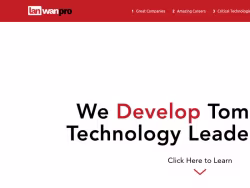 Lanwanprofessional