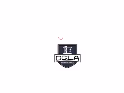 Commercialcontractorlosangeles
