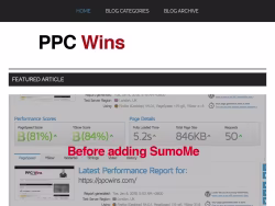 Ppcwins