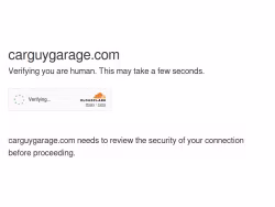 Carguygarage