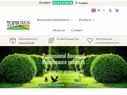 Topbuxus