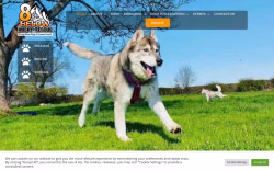 8belowhuskyrescue.org