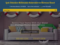 Leakdetectionmcdonaldsrestor
