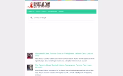 irkincat.com