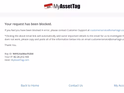 Myassettag