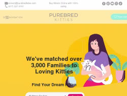 Purebredkitties