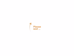 Flightitineraryforvisa